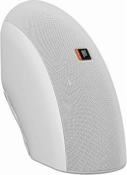 Amazon.com: JBL Professional Control CRV-WH High Design Indoor